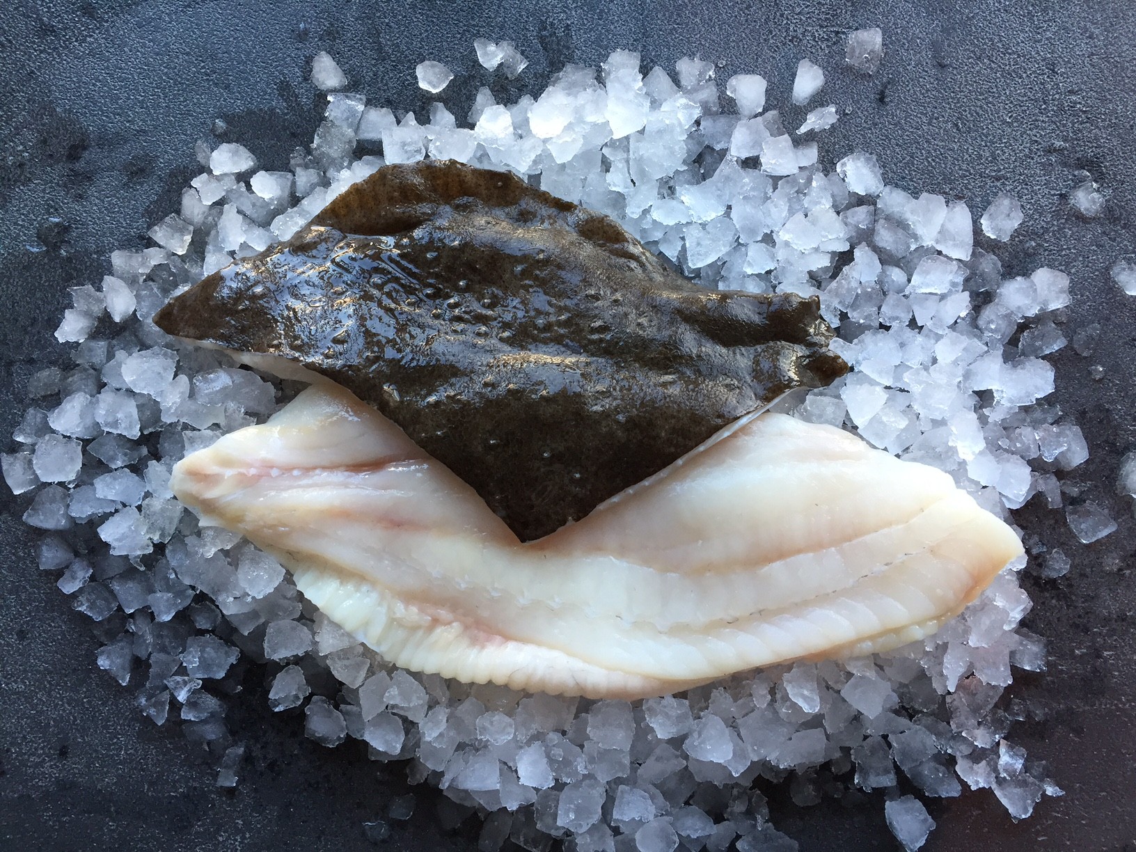 Turbot Fillet (Please call for availability) Casey's Salmon Ltd